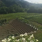 La Ferriera * פיניונה