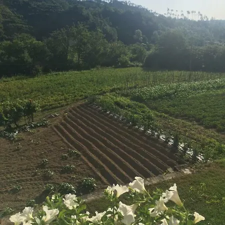 La Ferriera * Pignone