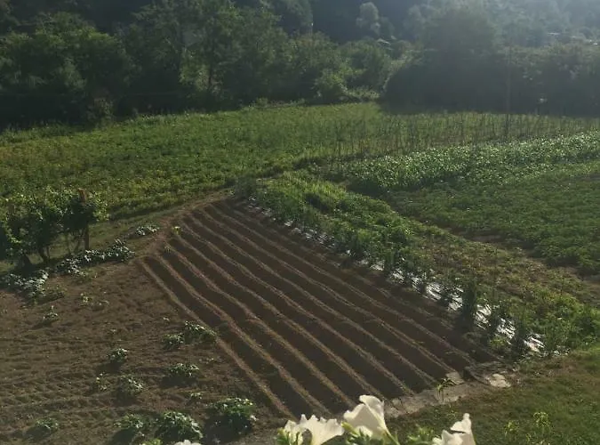 La Ferriera * Pignone